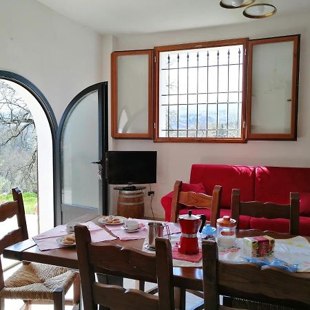 Casa Pancole Il Tinello Apartment Cavriglia Luaran gambar